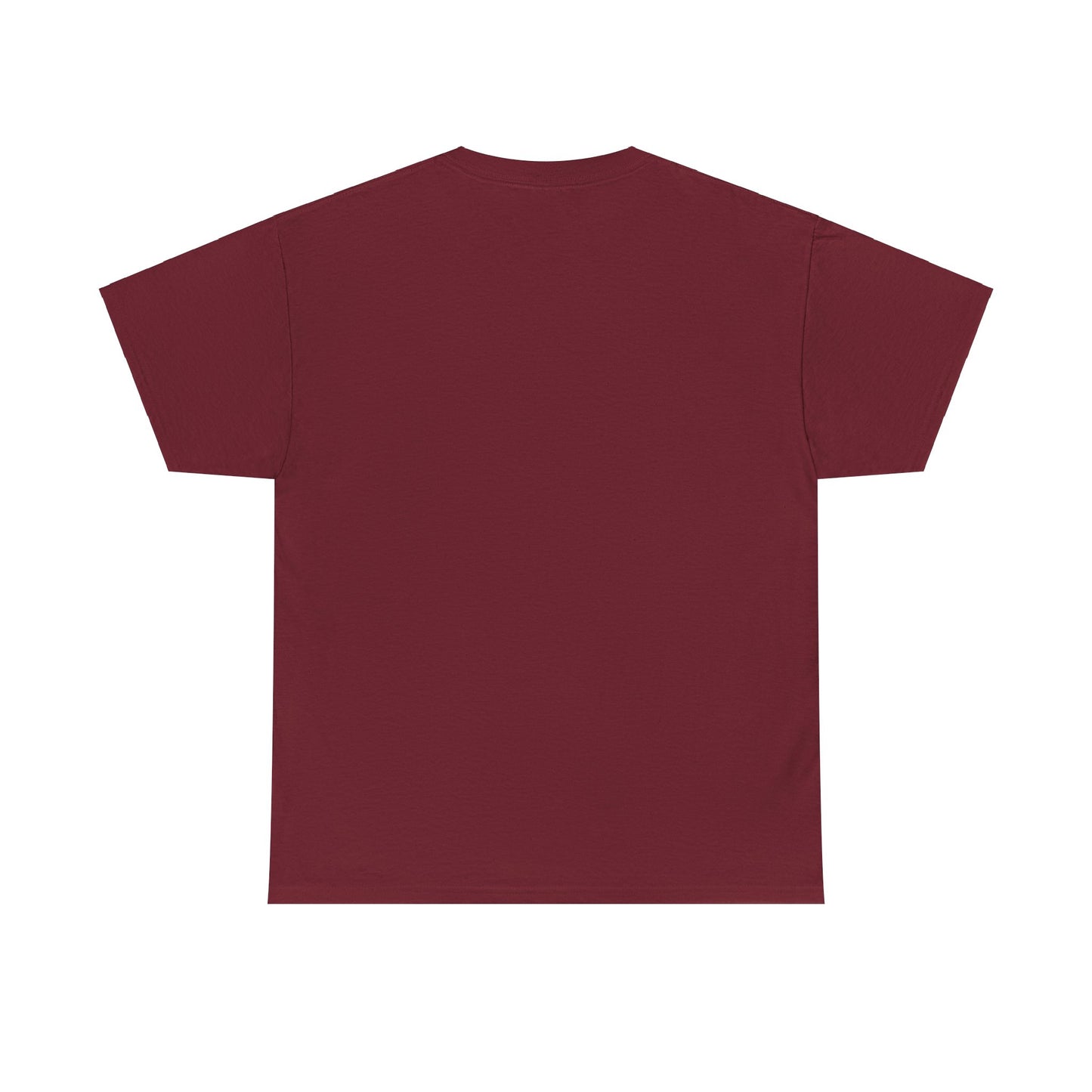 PRETTY BOYS VOTE T-SHIRT