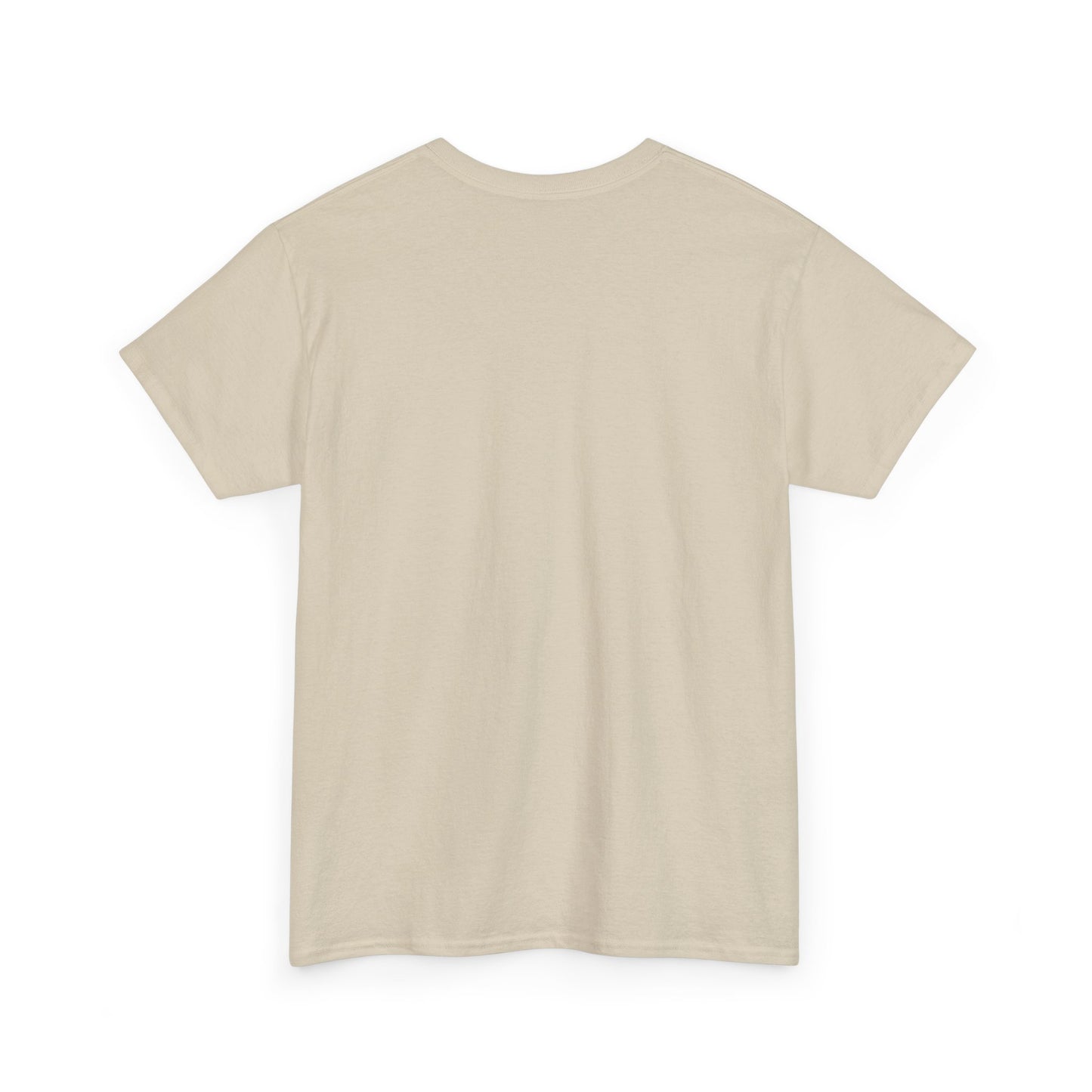 PRETTY BOYS VOTE T-SHIRT