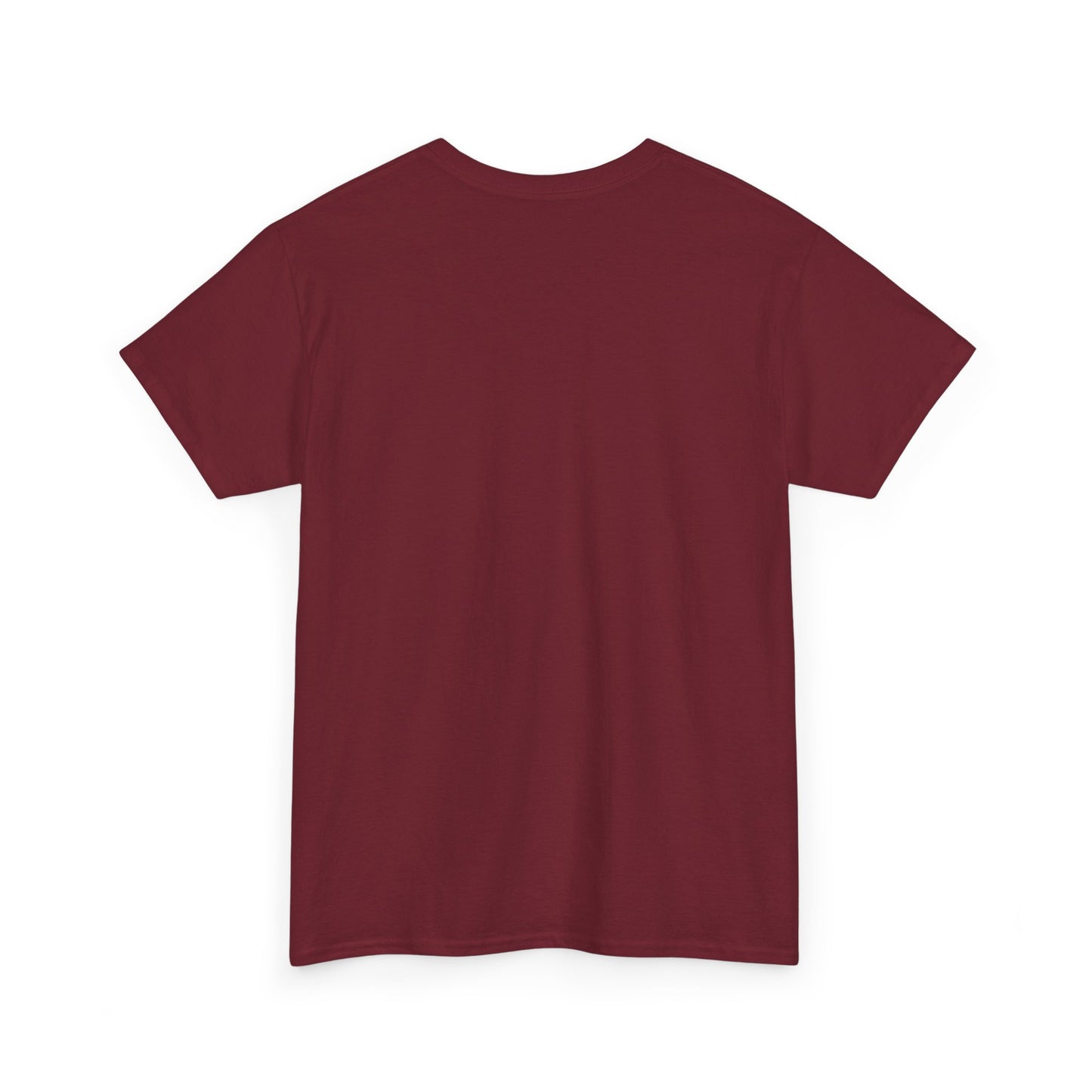 PRETTY BOYS VOTE T-SHIRT